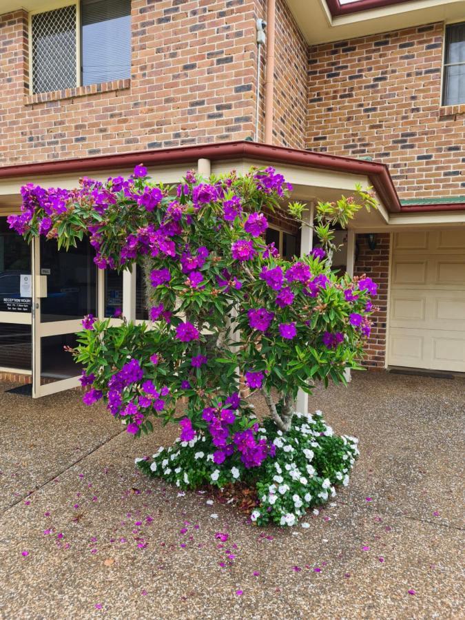 Country Gardens Motor Inn ทูวูมบา ภายนอก รูปภาพ